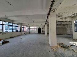 Lipo Building (D14), Factory #570066671